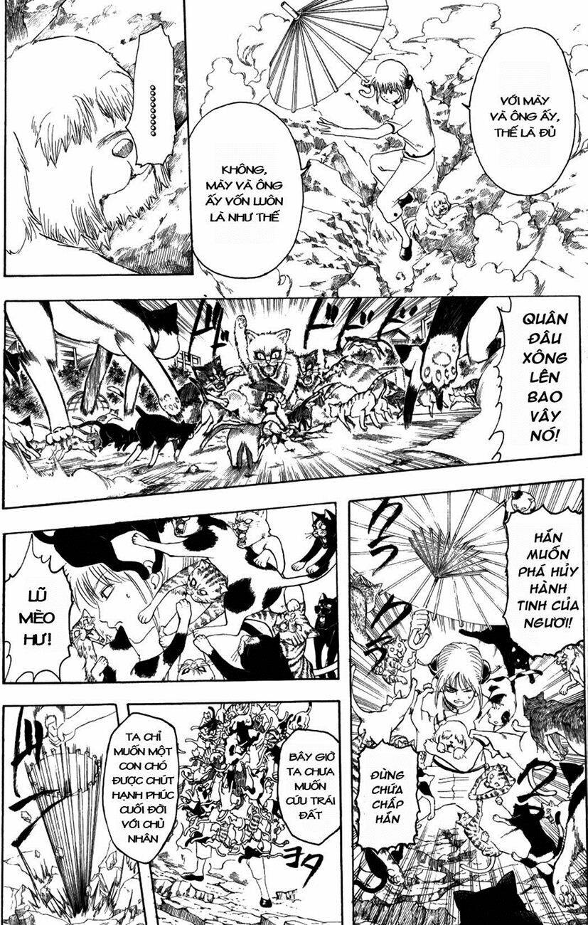 gintama - linh hồn bạc chapter 209 8
