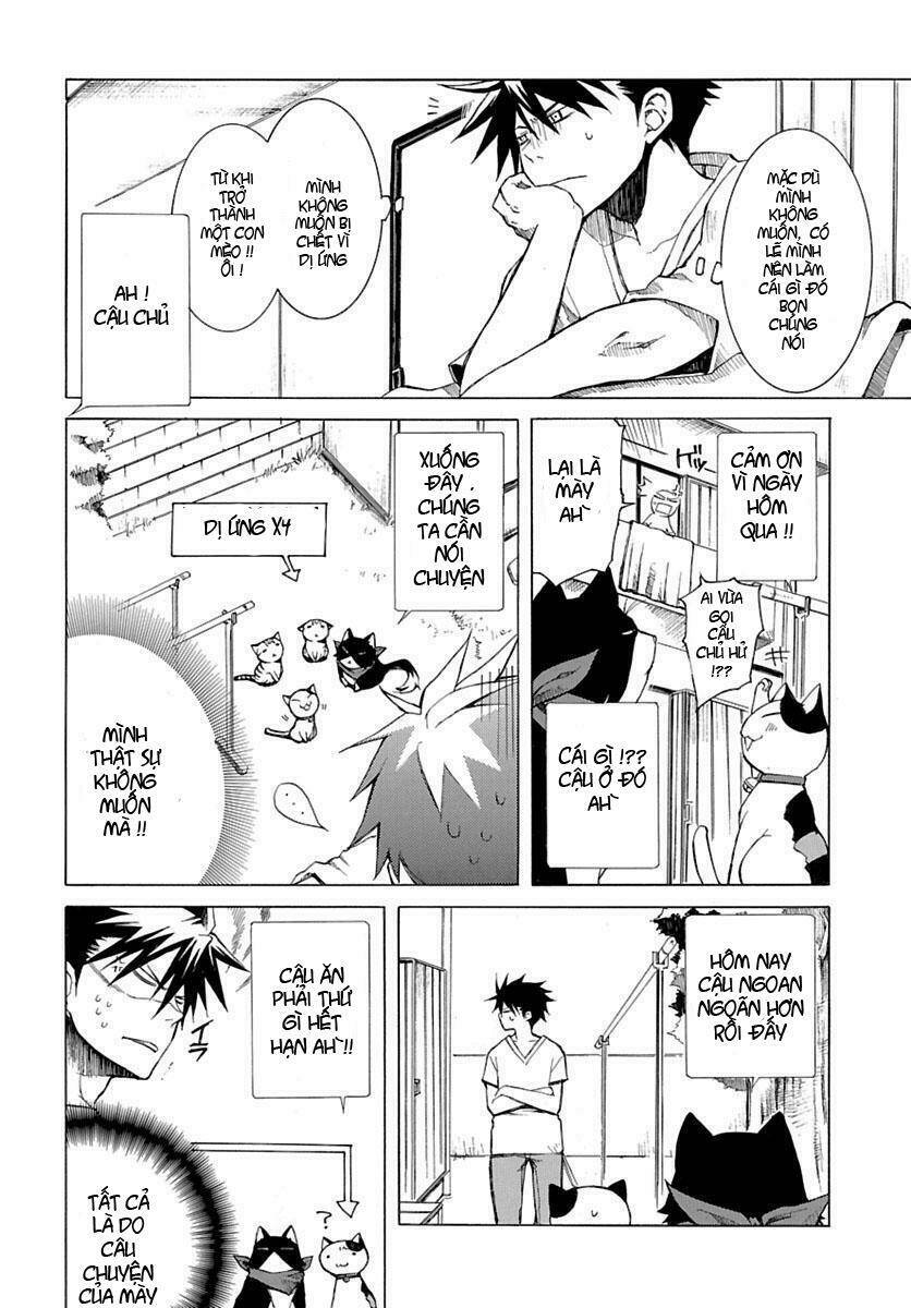 nyankoi! chapter 1 25