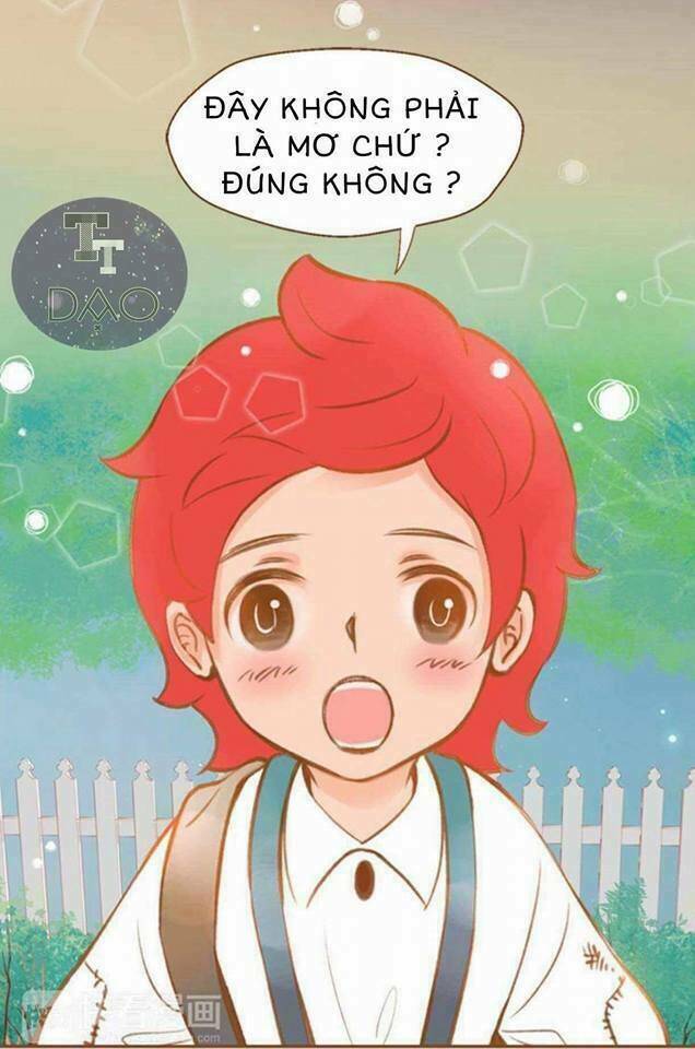 tân lang yếu tòng tiểu dưỡng khởi chapter 2 48