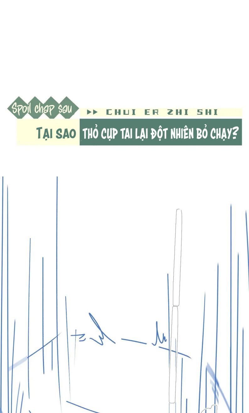 Chấp Sự Thỏ Cụp Tai chapter 15