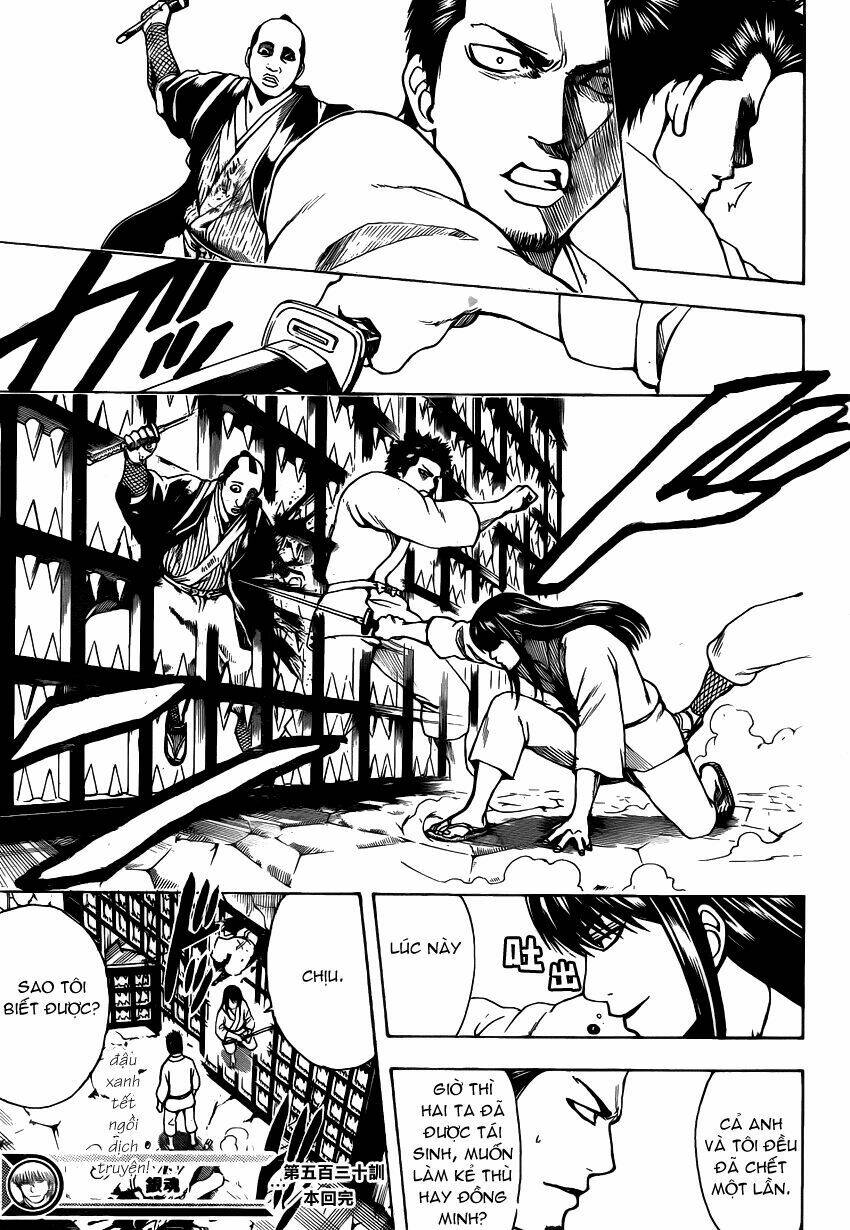 gintama - linh hồn bạc chapter 530 20