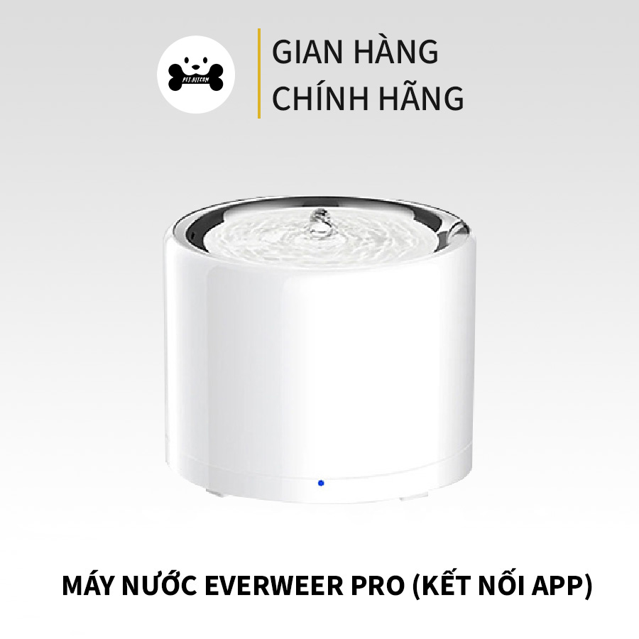Máy nước everweer Pro