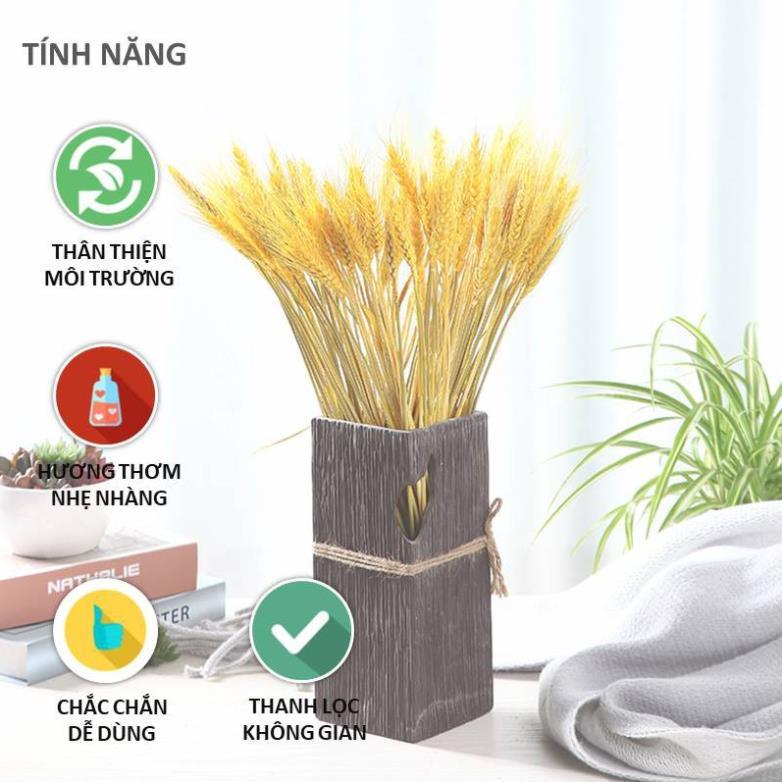 Bó Hoa Bông Lúa Mạch Khô Decor Trang Trí