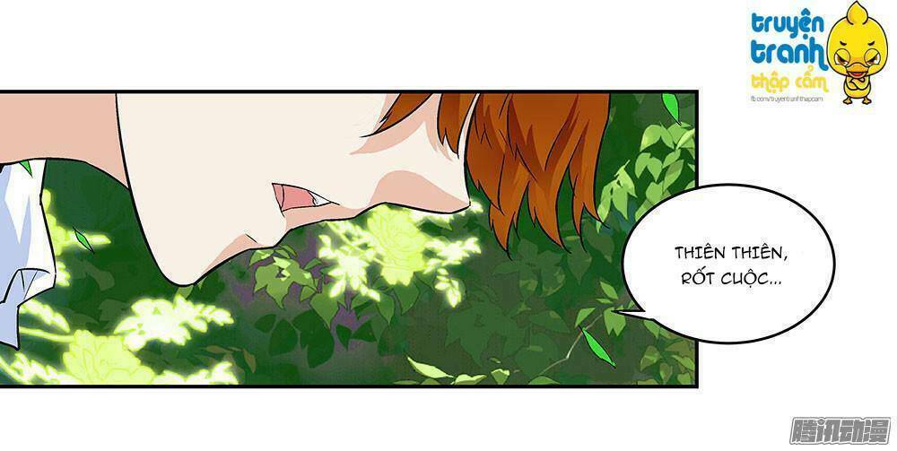 cường sủng hào môn tiểu manh thê chapter 5 8