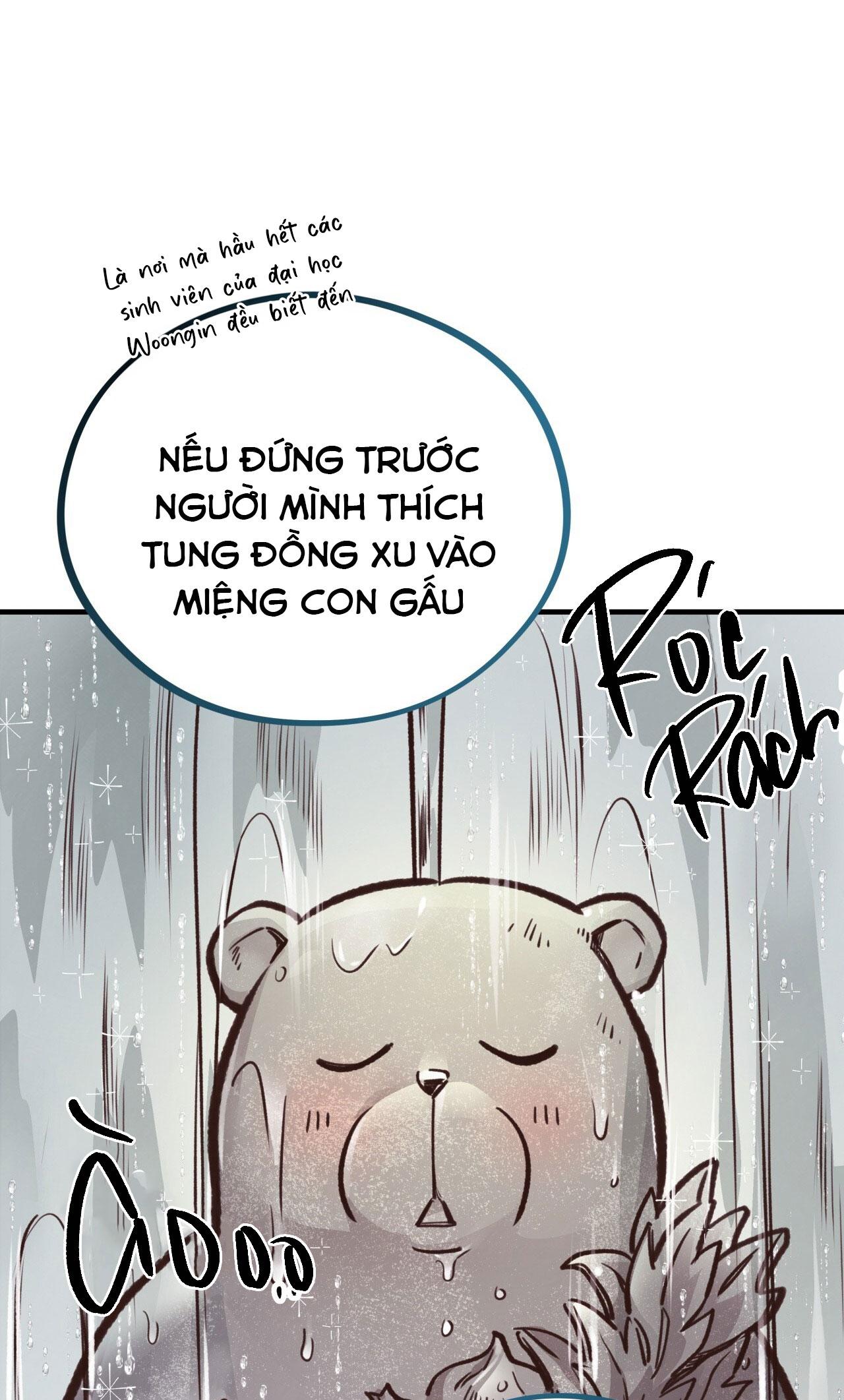 mật gấu chapter 26 17