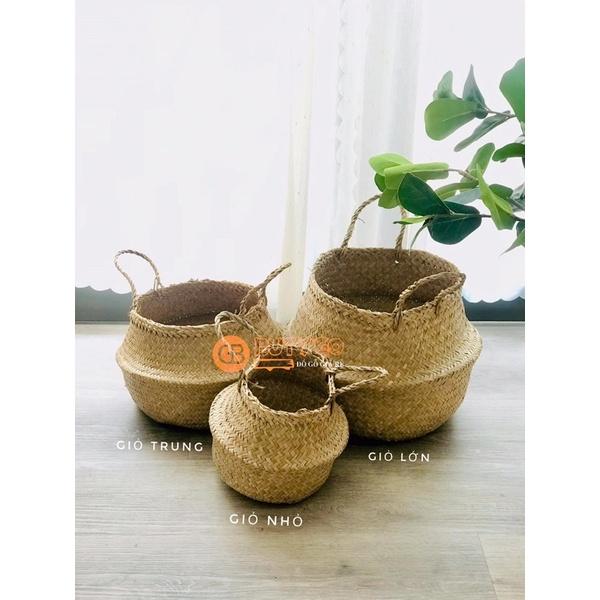 GIỎ CÓI TRỒNG CÂY