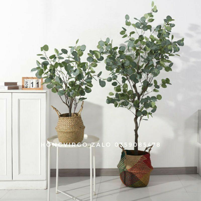 Cây Lá Táo Giả Trang Trí decor siêu xinh