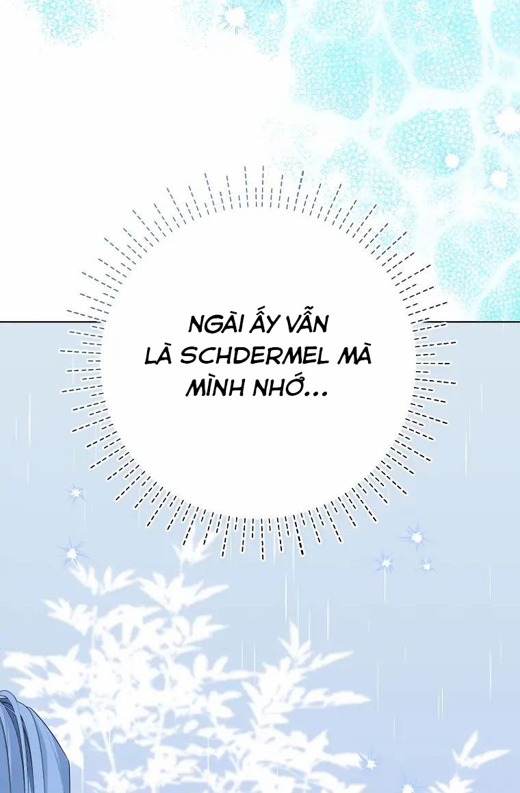 aster yêu dấu của tôi chapter 3 26