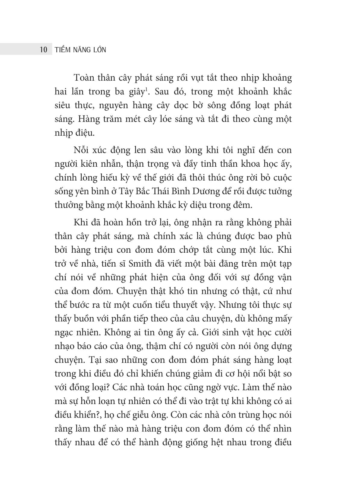 Tiềm Năng Lớn