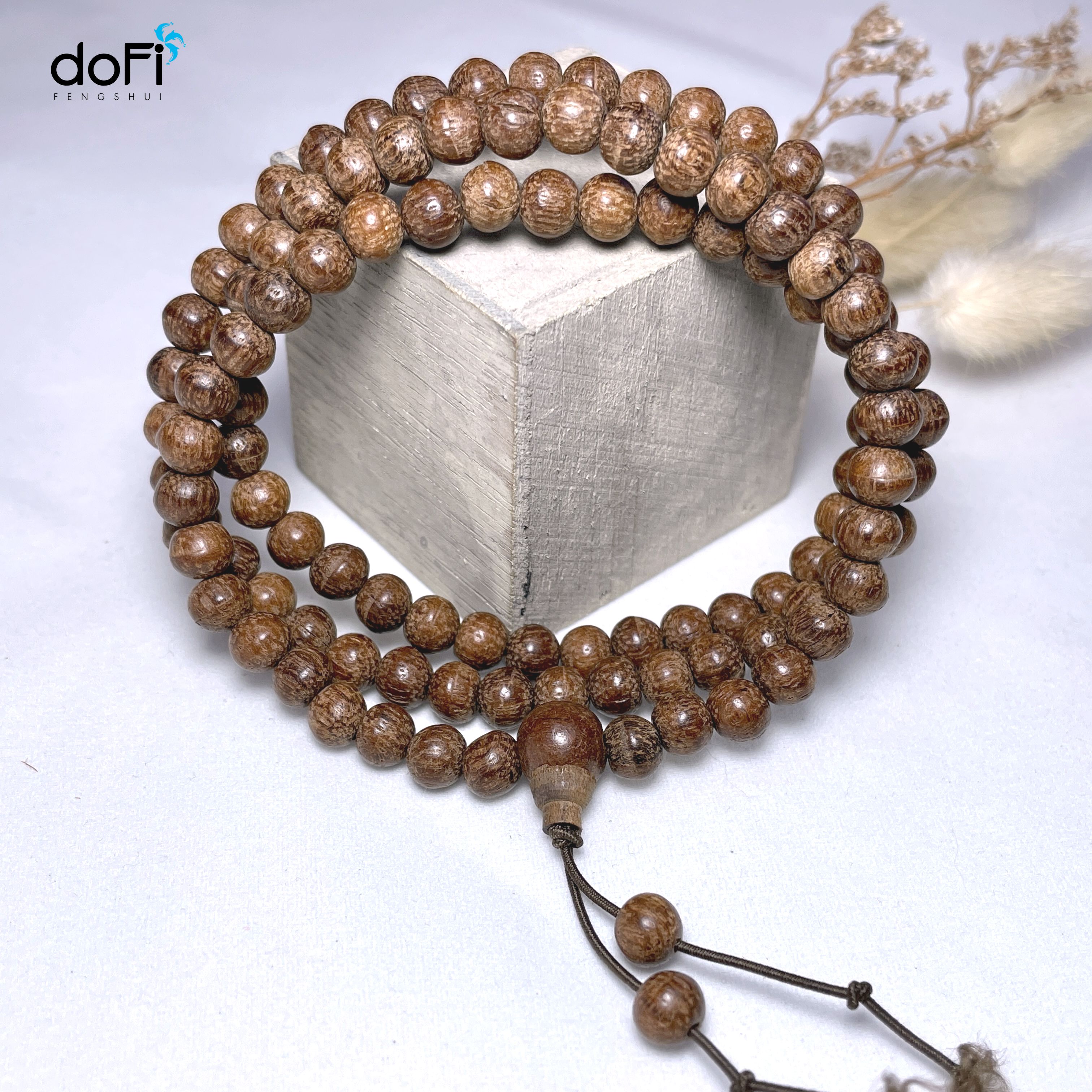 TRÀNG HẠT GỖ DÂU RỪNG 6 LI