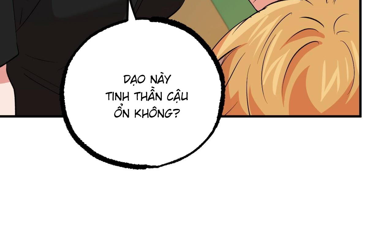 những chú thỏ của hapypy chapter 53 62