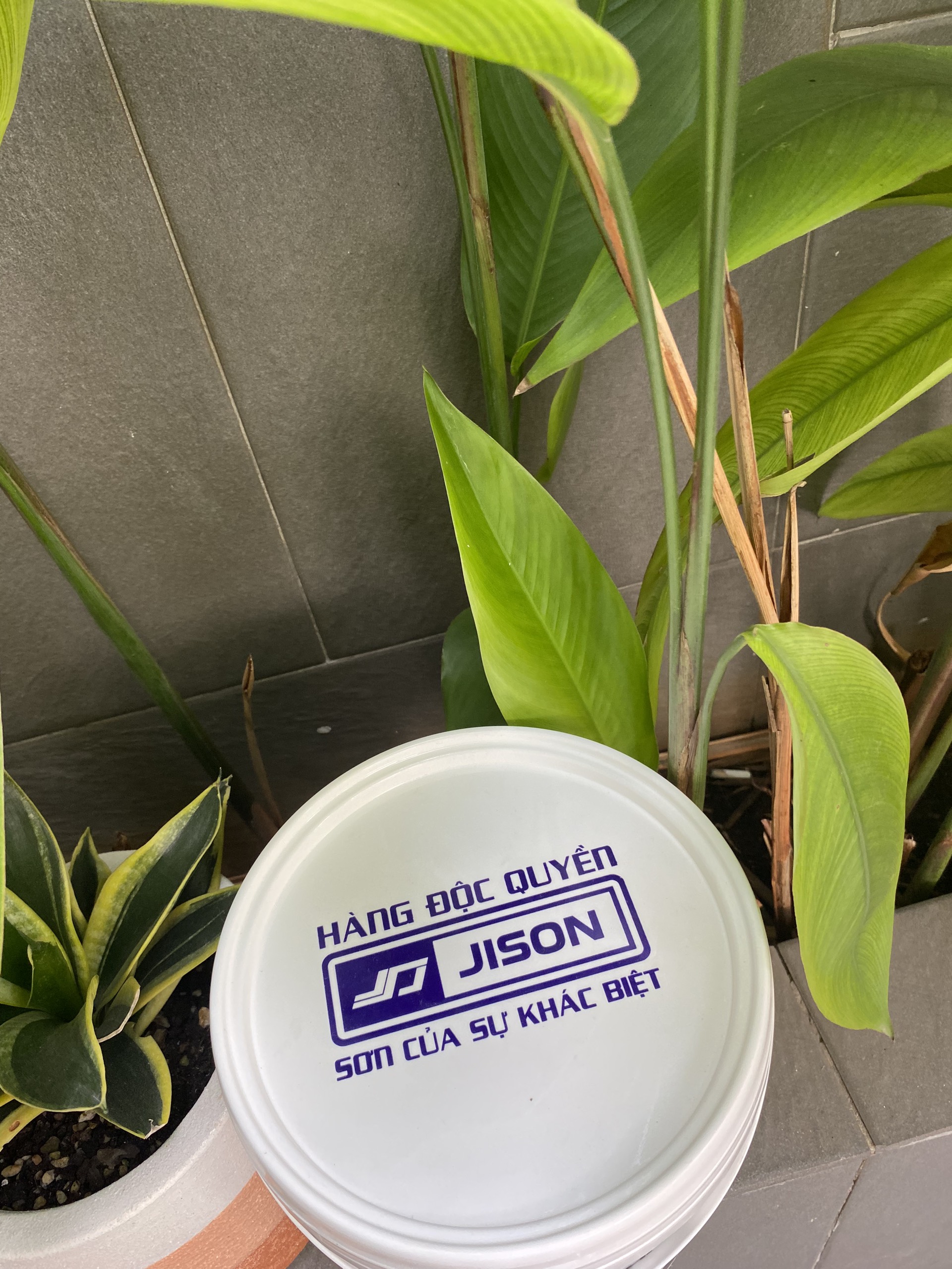 SƠN CHỐNG THẤM JS22