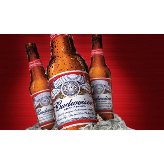 Chai bia thủy tinh BUDWEISER 330 ml lẻ dùng thử