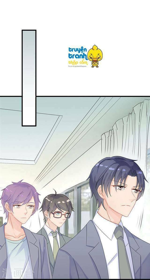 chọc tới chủ tịch tổng tài 2 chapter 33 16