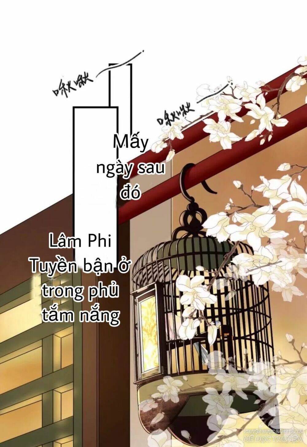 sủng phi của vương chapter 66 1