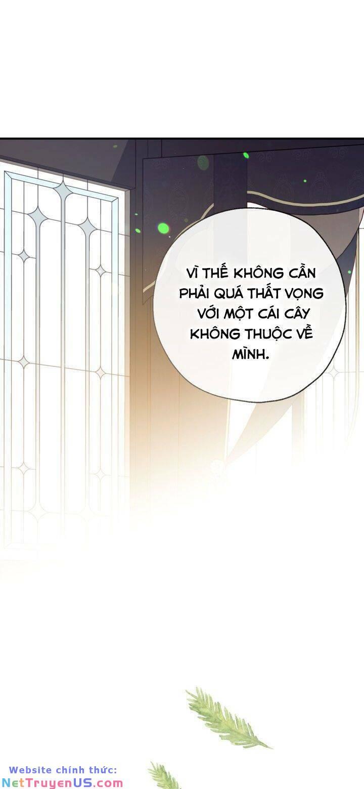 chúng ta có thể trở thành gia đình được không? chapter 50 16