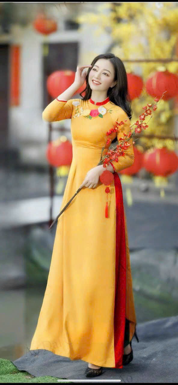 SÉT ÁO DÀI ĐÍNH HOA PHỐI CỔ VIỀN