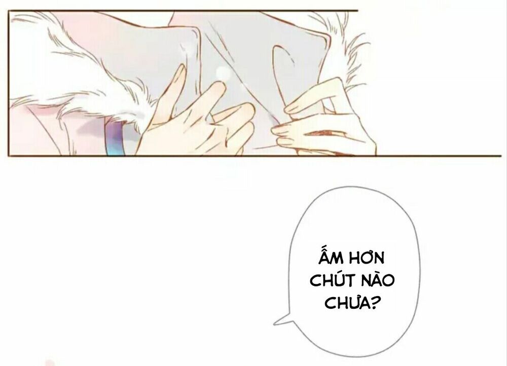 Tình yêu là màu hoa anh thảo chapter 29.2 27