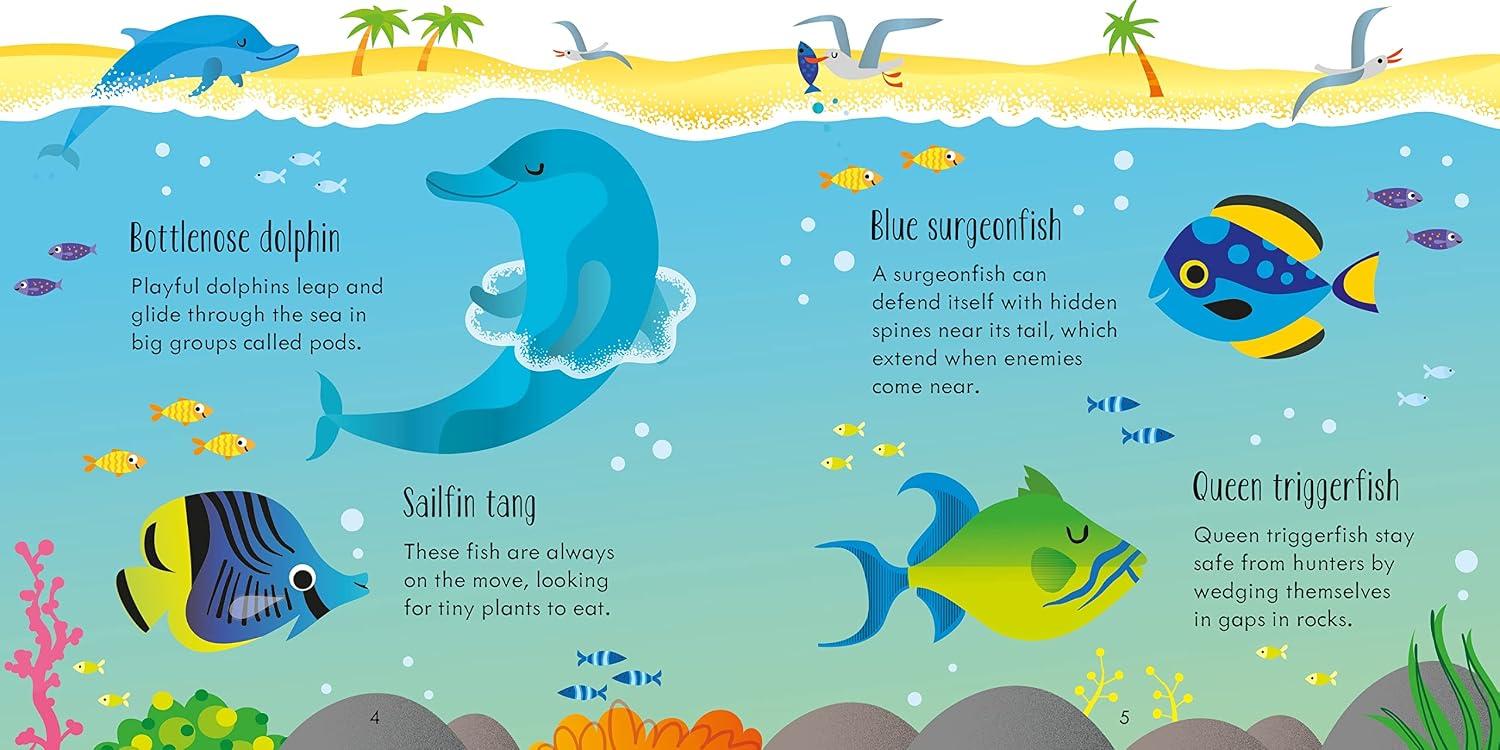 Sách Under The Sea Matching Games And Book