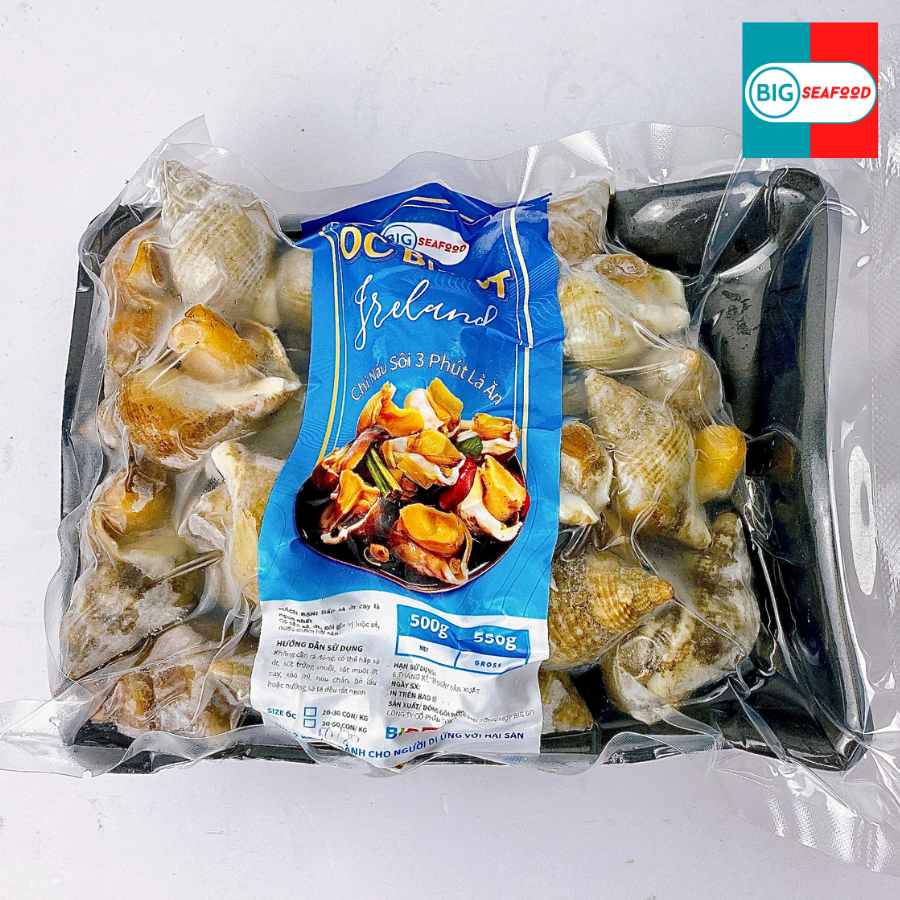 ỐC BULOT BẮC ÂU
