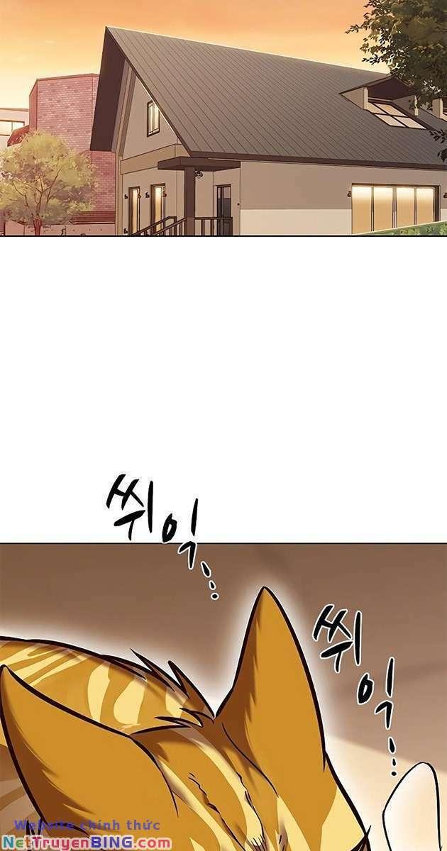 biến thân thành mèo chapter 278 2