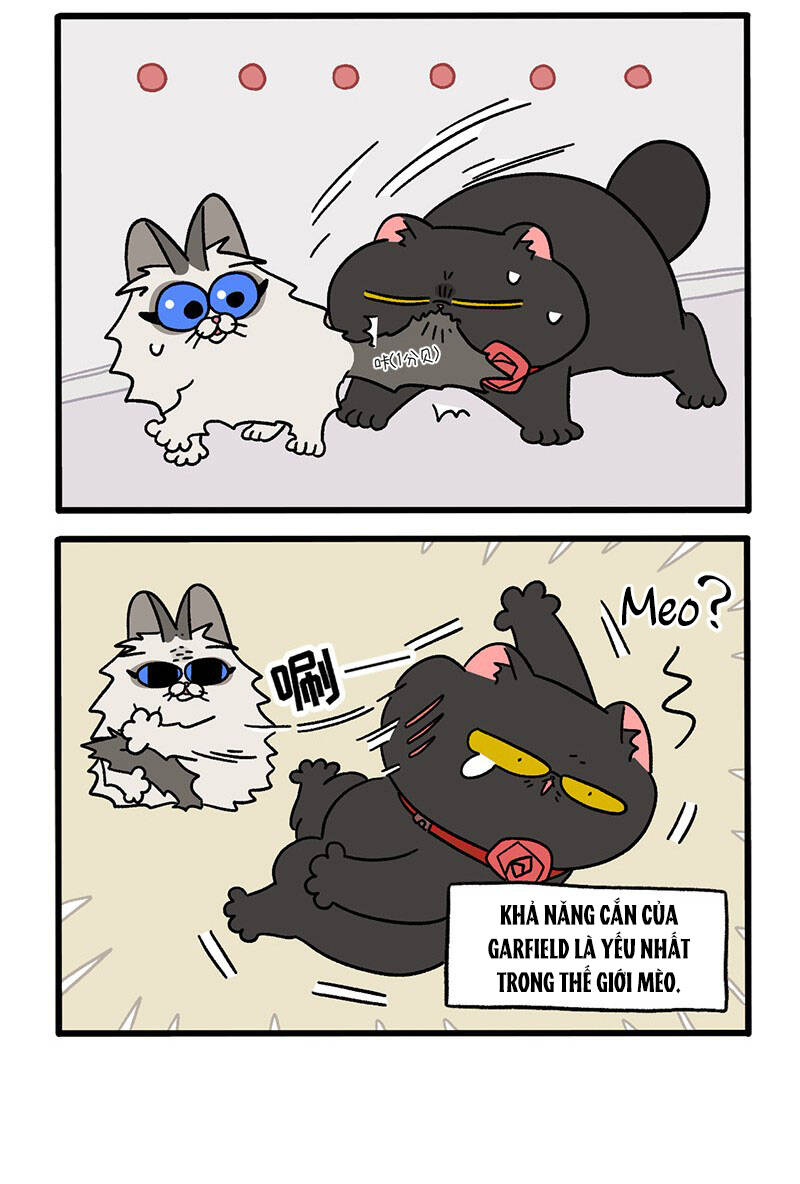 a mãn và mạch trà chapter 31.1 4