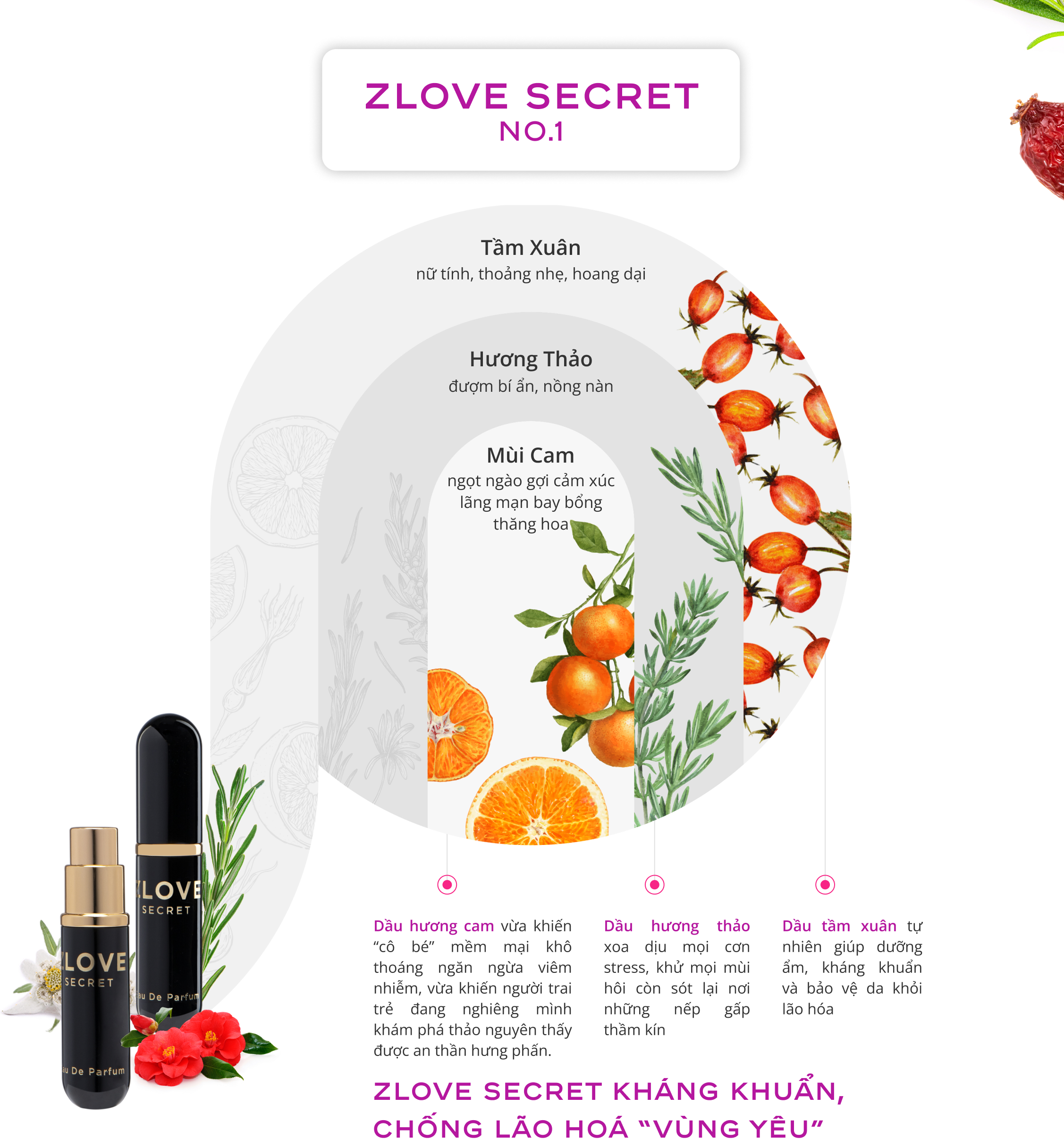 Nước hoa vùng kín nữ cao cấp chính hãng Zlove Secret 5ml với hương thơm ngọt ngào, quyến rũ, nữ tính