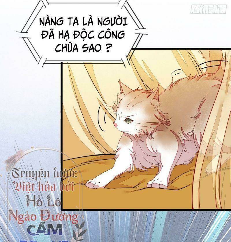 sát thủ vương phi không dễ chọc chapter 33 5