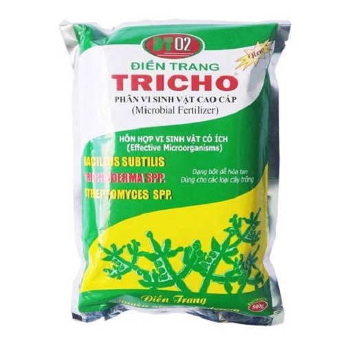 Vi sinh cao cấp Trichoderma - Tăng cường hệ vi sinh vật trong đất, phòng bệnh cho cây