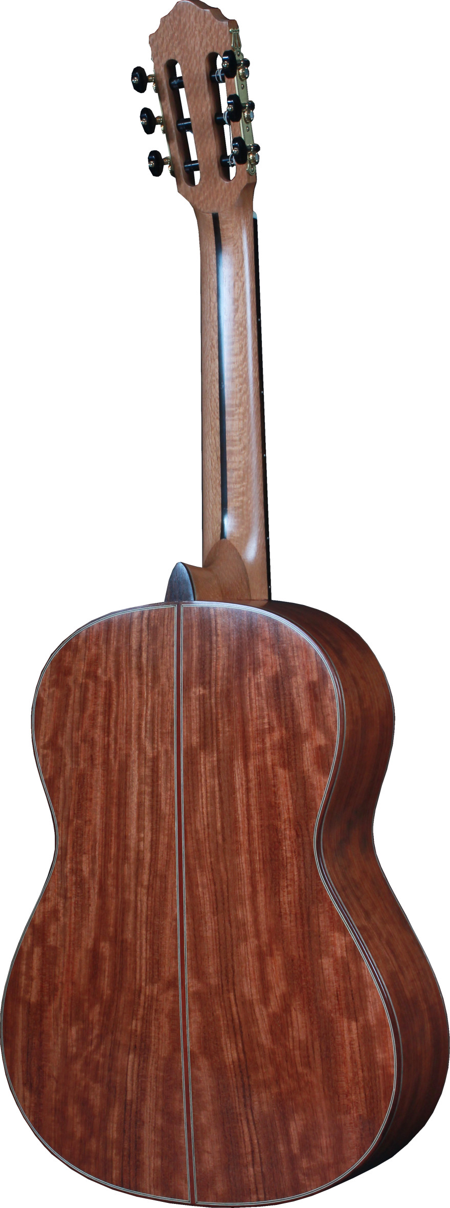 Đàn Guitar Swallow Classic C750