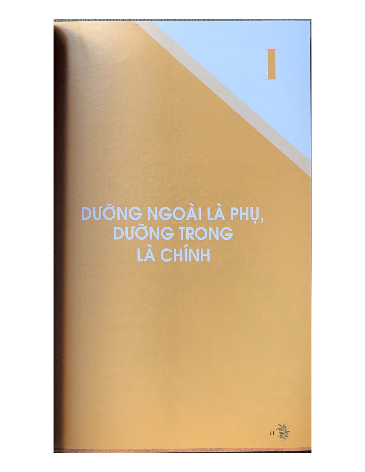 Dưỡng Nhan Đánh Tan Lão Hóa