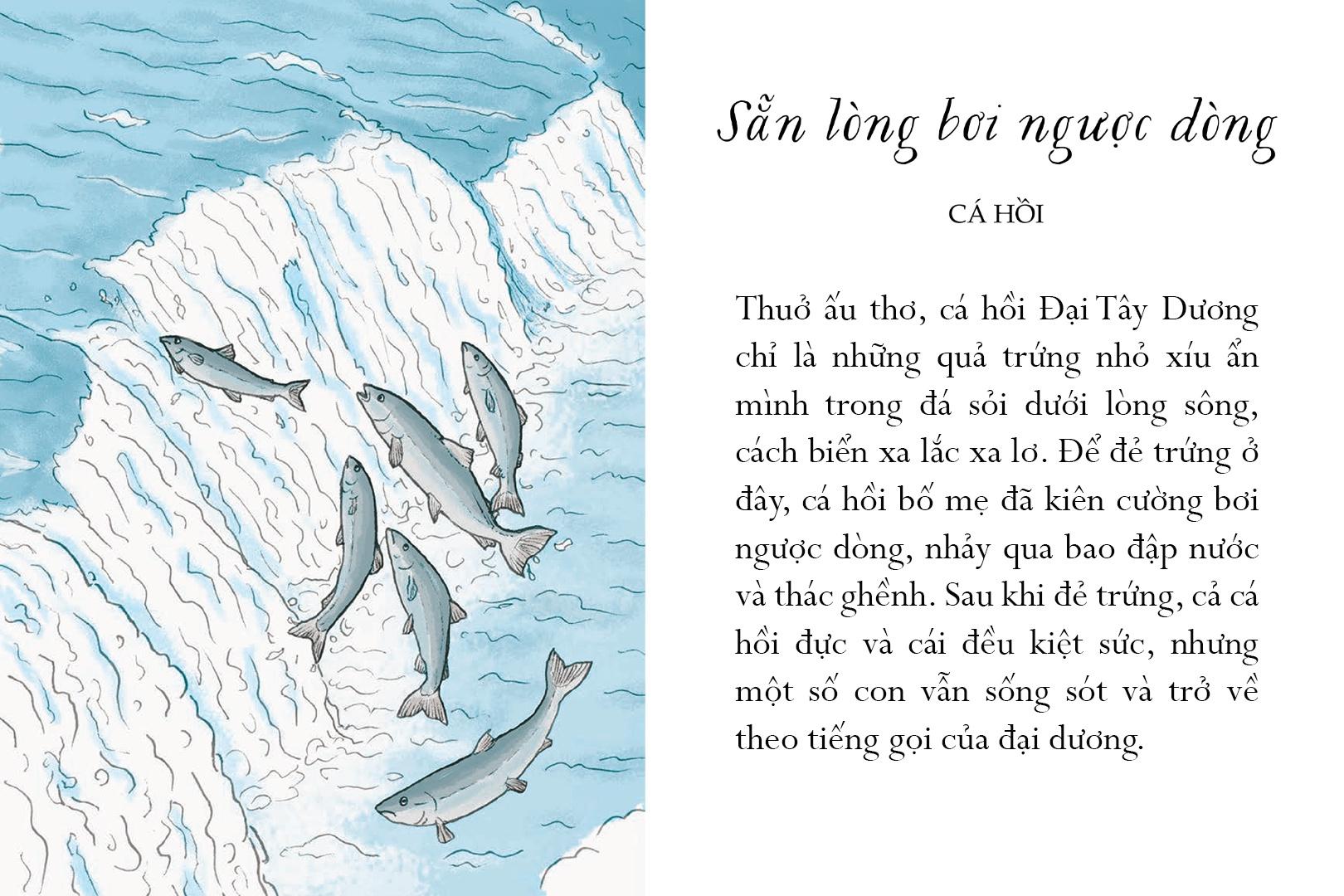 Sách Sống Một Đời Tựa Biển Khơi - Những Bài Học Trí Tuệ Nhẹ Nhàng Sâu Lắng Của Đại Dương