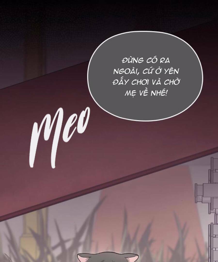 cô đi mà lấy chồng tôi đi chapter 67 13