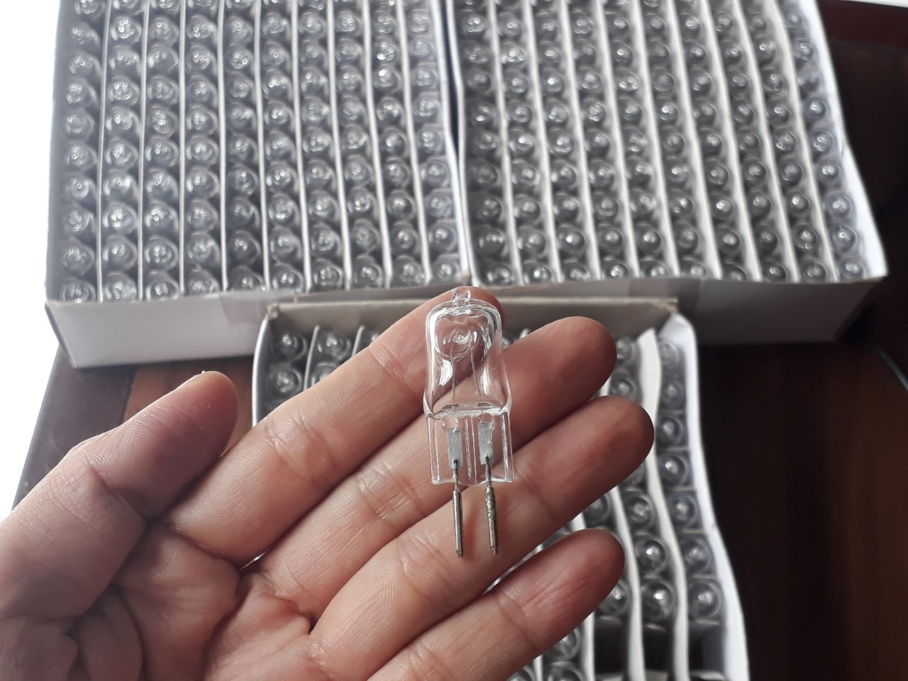 5 Bóng đèn thay thế cho đèn xông tinh dầu