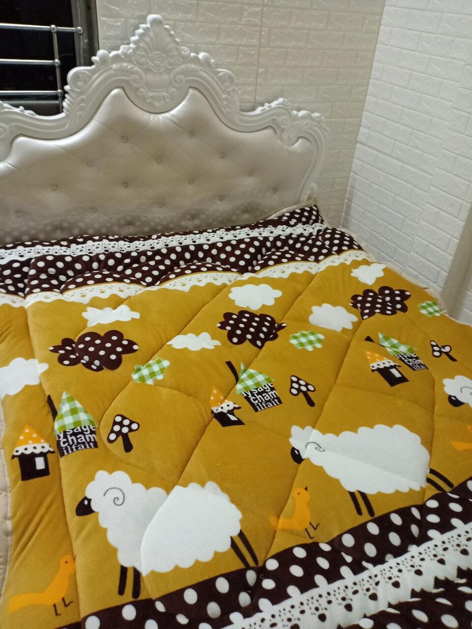 CHĂN LÔNG CỪU HÀNG VIỆT NAM XUẤT KHẨU-CỪU VÀNG