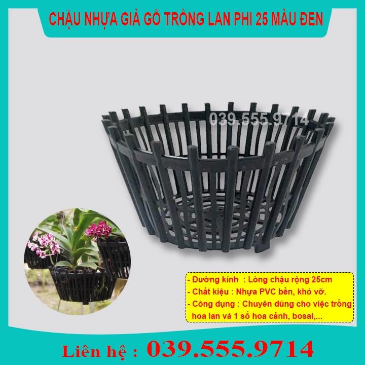5 Chậu Nhựa Đen Trồng Lan Phi 25cm - Chậu Trồng Lan Có Lan Phụ