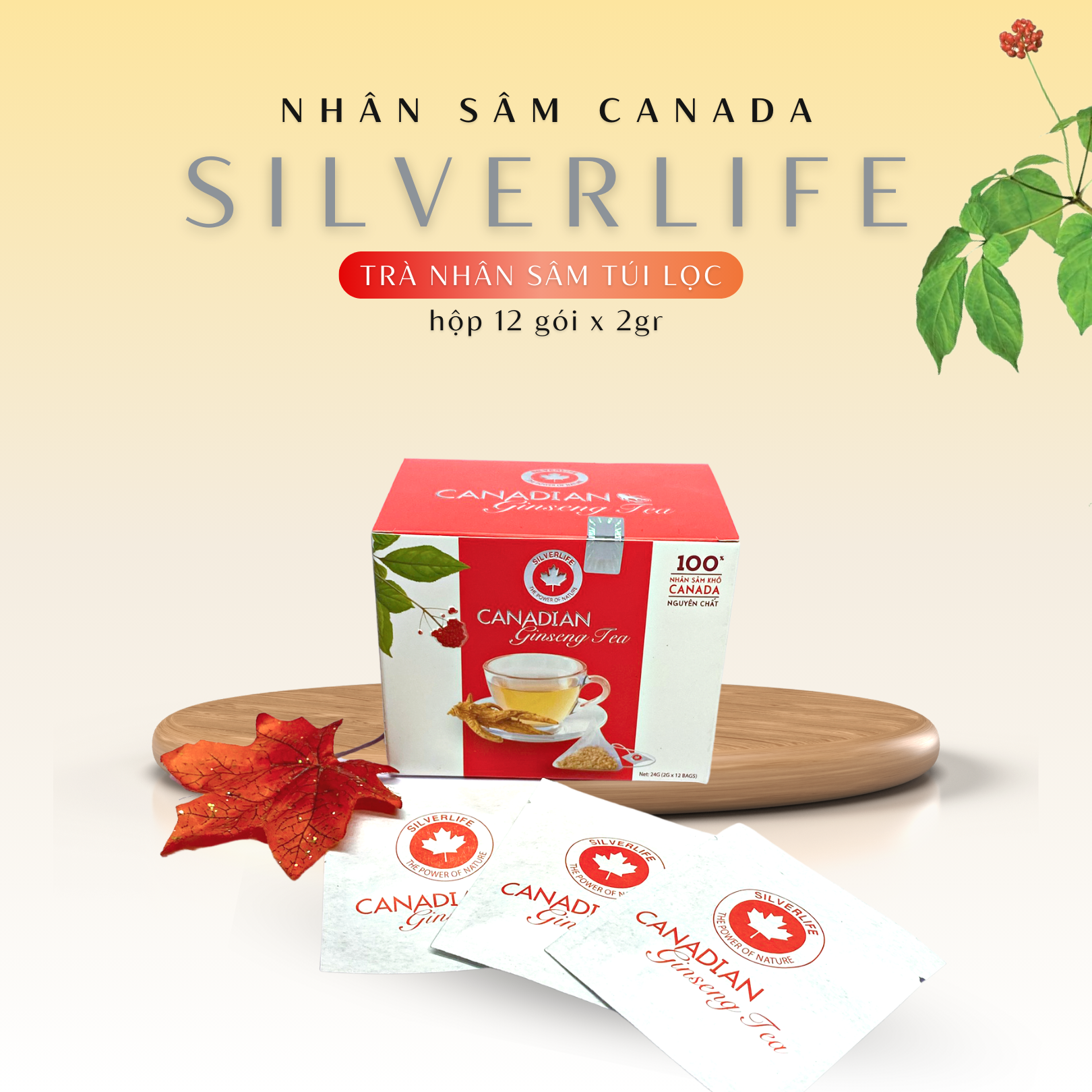 Trà nhân sâm Canada SilverLife hộp 12 gói 24g - 100% nhân sâm Canada tự nhiên nguyên chất - Giúp giải nhiệt, tăng cường sức khoẻ