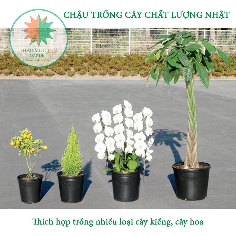 05 Chậu Trồng Cây 24x24cm TOKAI – Chậu to trồng cây chất lượng Nhật