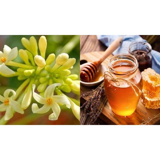 CÂY GIỐNG ĐU ĐỦ ĐỰC .(