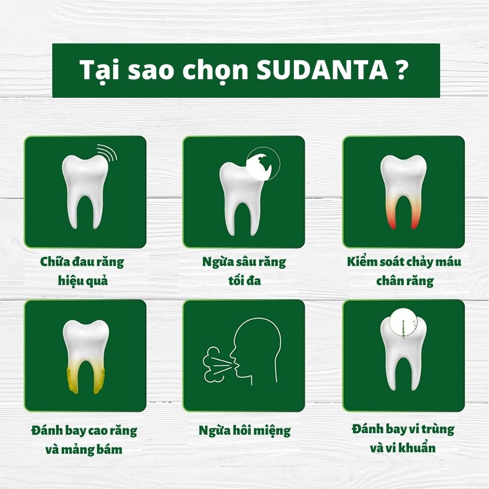 Combo 3 Hộp Kem Đánh Răng Thảo Dược Sudanta Sri Sri Tattva - Không Chứa Flouride, 100% Thuần Chay, Chắc Răng, Thơm Miệng, Ngừa Các Bệnh Từ Răng Miệng, Nướu Bằng Y Hoc Cổ Truyền Ayuveda