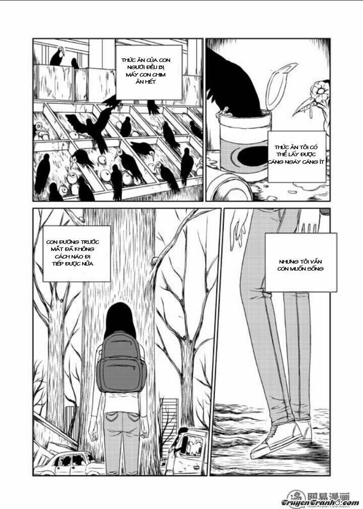 tổ chim chapter 1 31