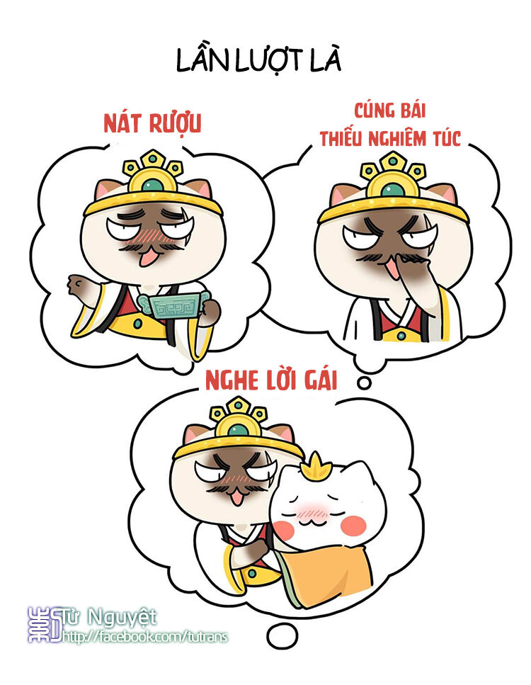 nếu lịch sử là một bầy mèo chapter 10 37