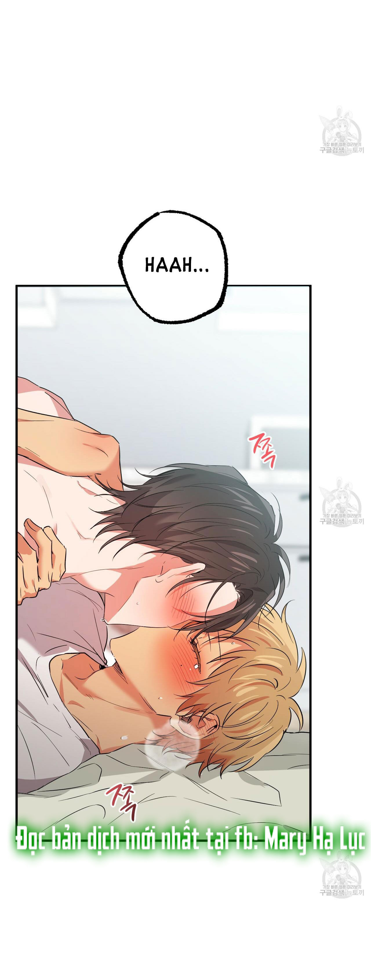 những chú thỏ của hapypy chapter 54.2 19