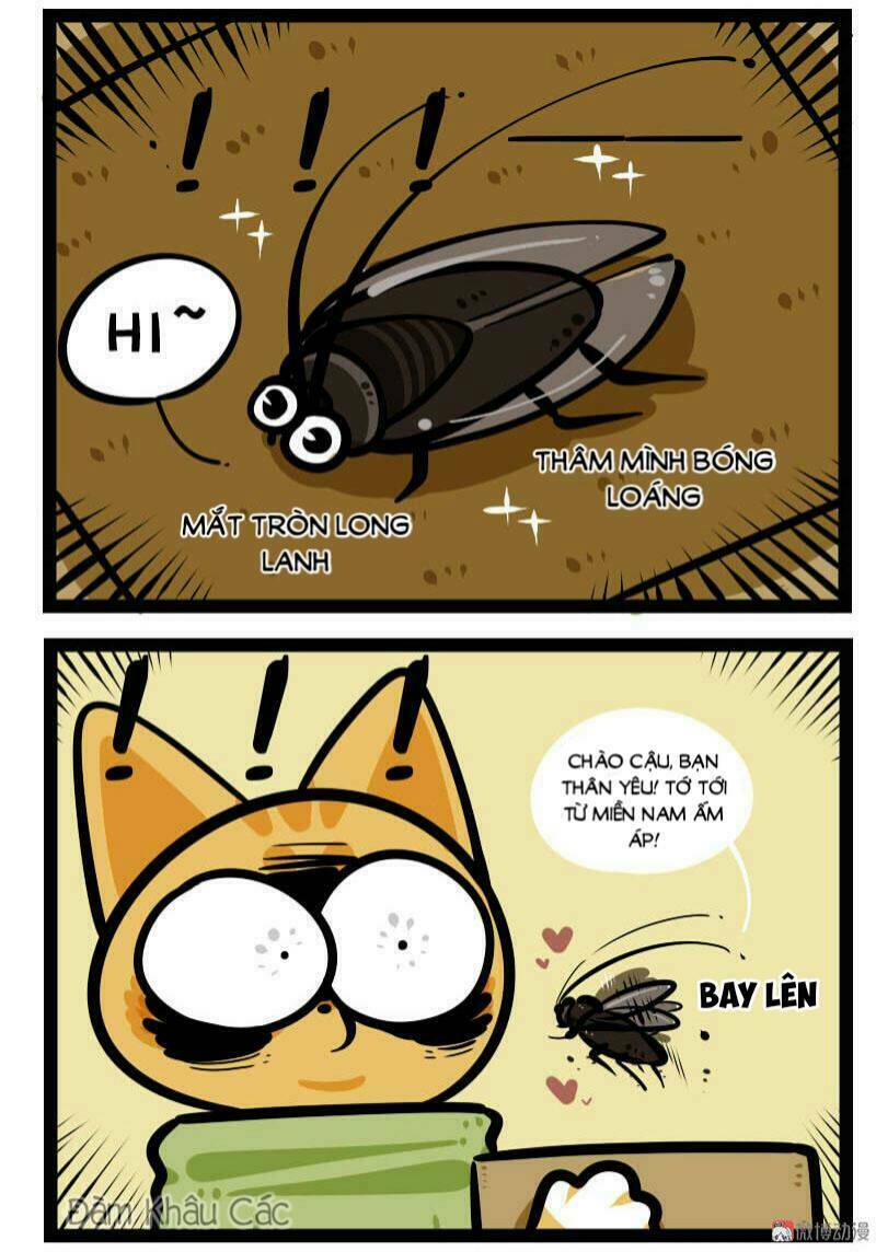 đời không như mình tưởng chapter 64 7