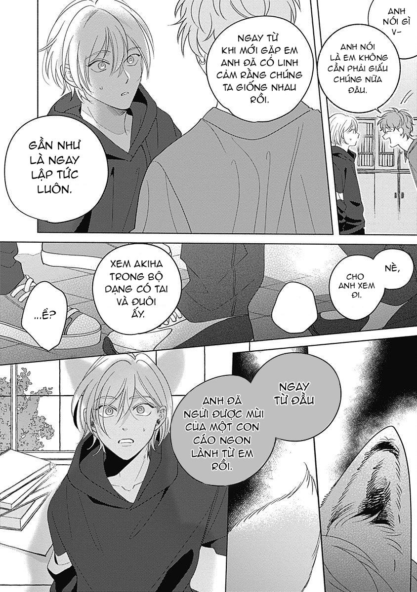 chiếm hữu bởi linh hồn cáo chapter 5 3