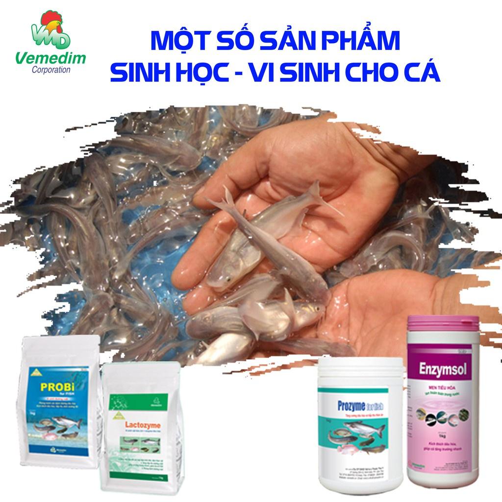 Sorpherol cá - Sản phẩm dưỡng chất hỗ trợ chức năng gan, thận cho cá, hộp 1kg