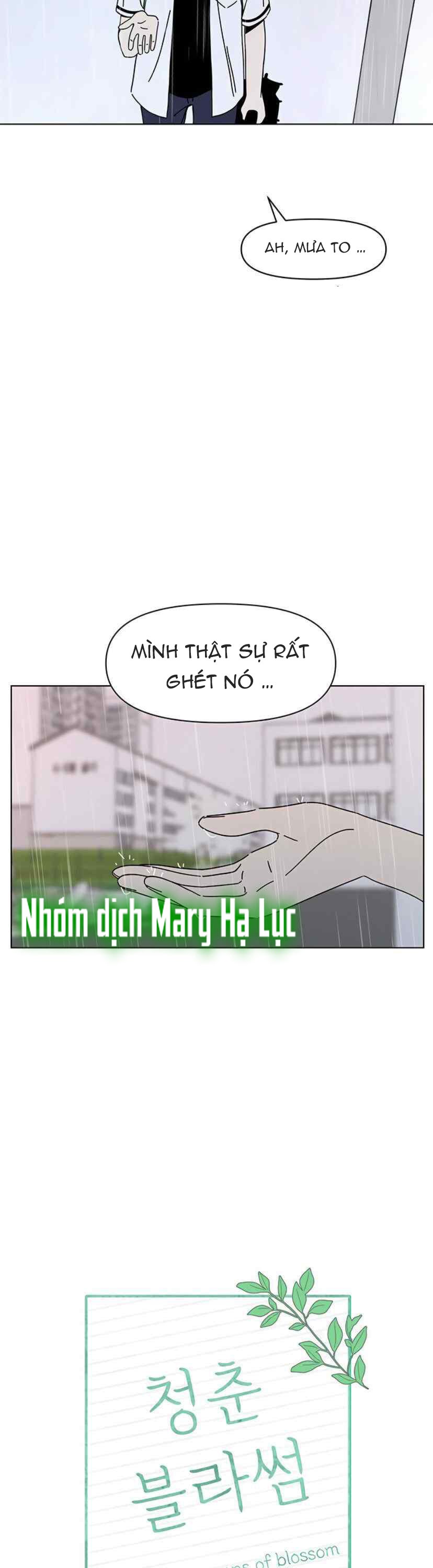 thanh xuân rực rỡ - season of blossom chapter 53 14