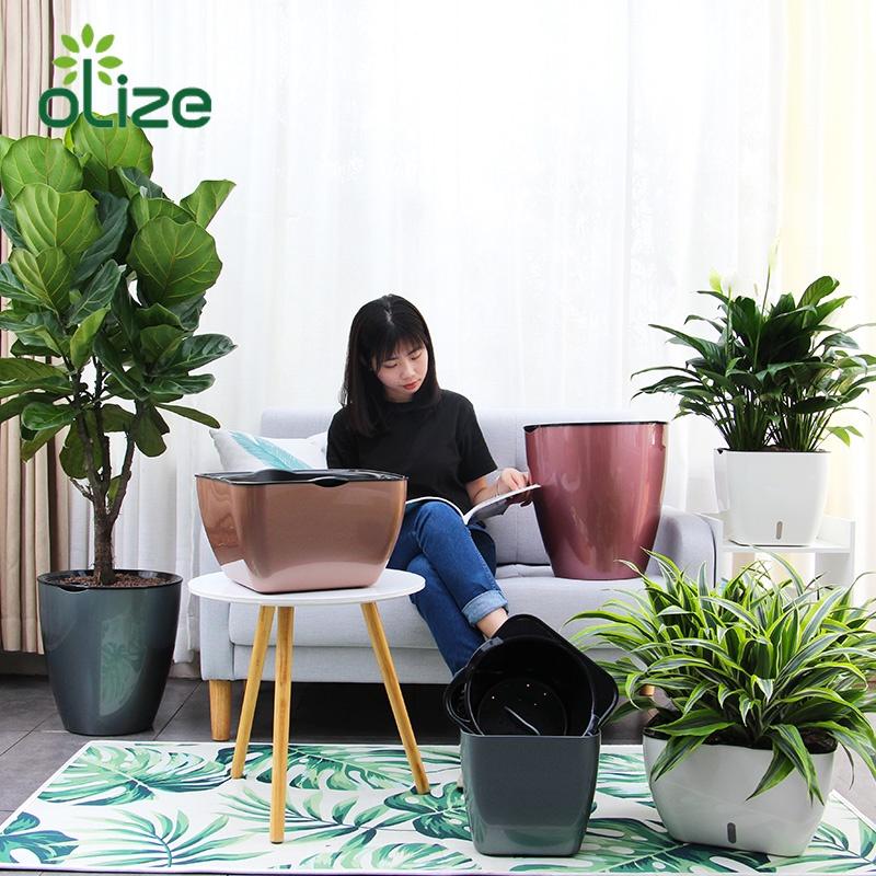 Chậu trồng cây Oliz G113. Chậu trồng cây thông minh tự tưới