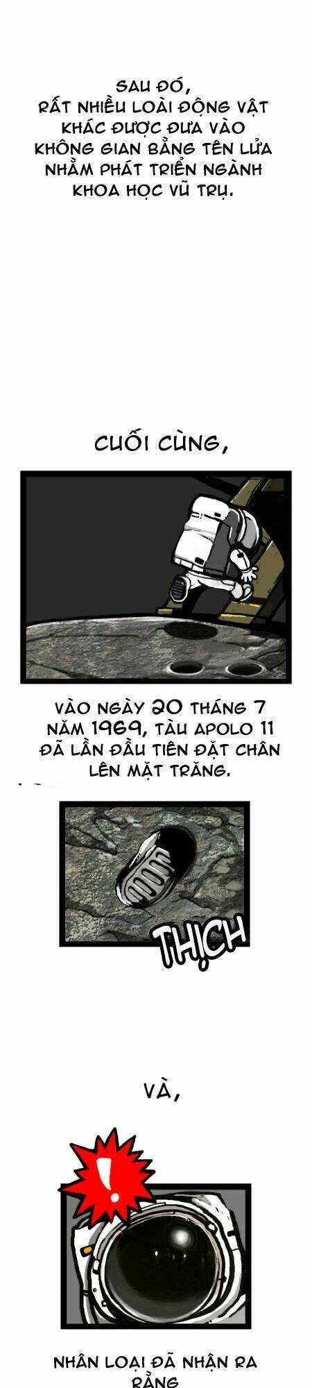 earth, human, and animal chapter 15 24