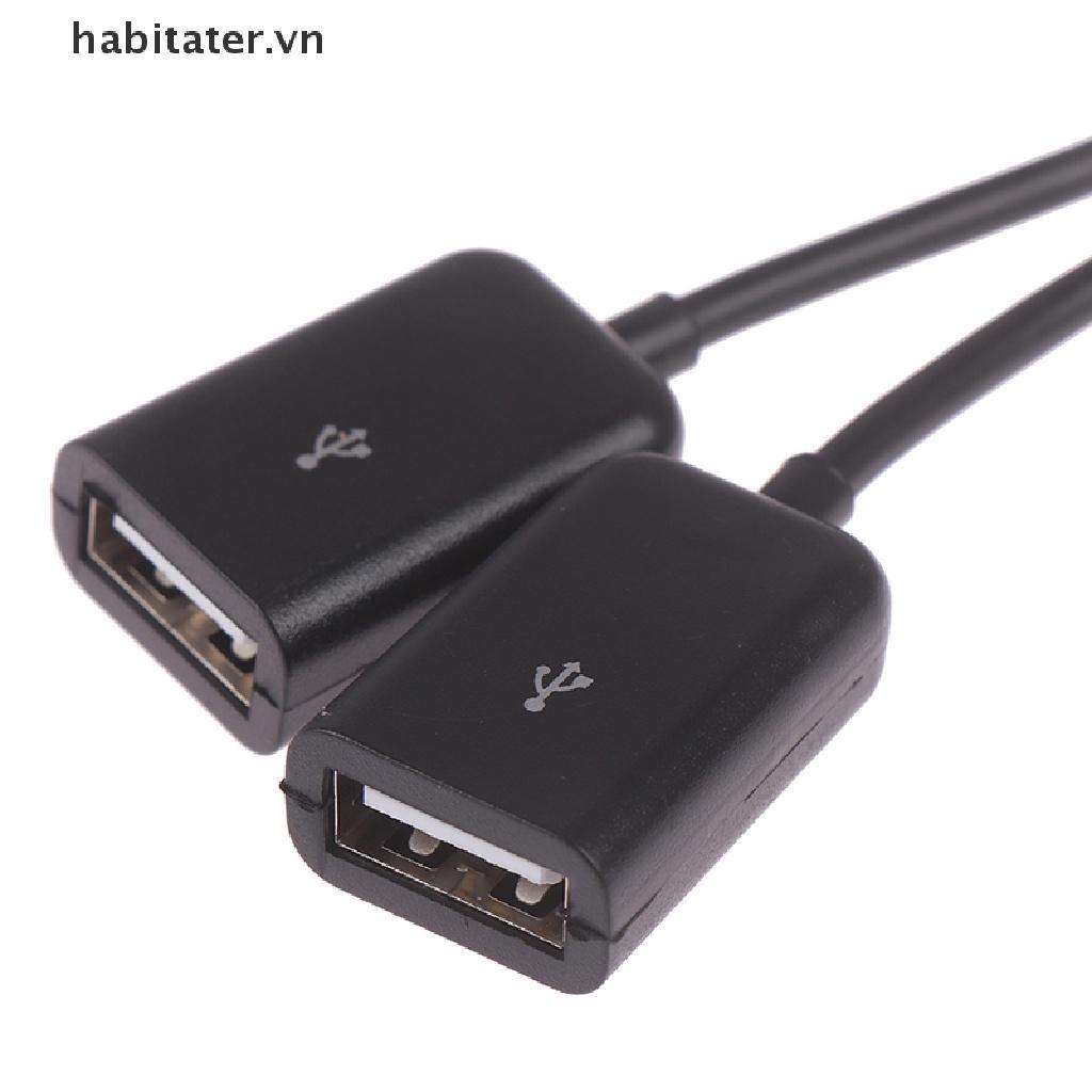 Bộ Chia Cổng Micro usb / type c Sang 2 otg